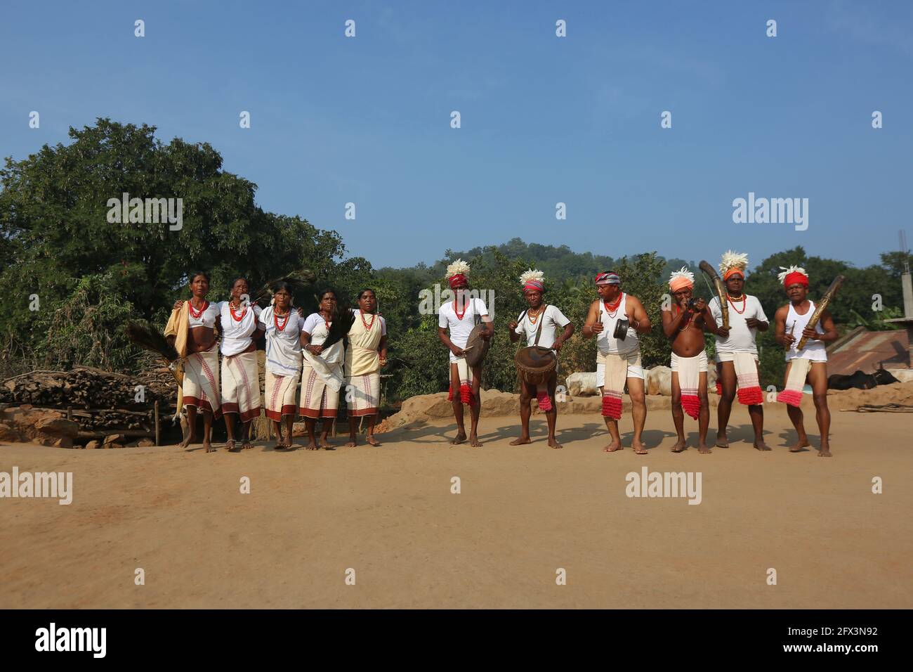 LANJIA SAORA TRIBE -Traditional group dance. Male dancers with loin cloths and heads  decorated with white fowl feathers playing drums, gagerai, trete Stock Photo