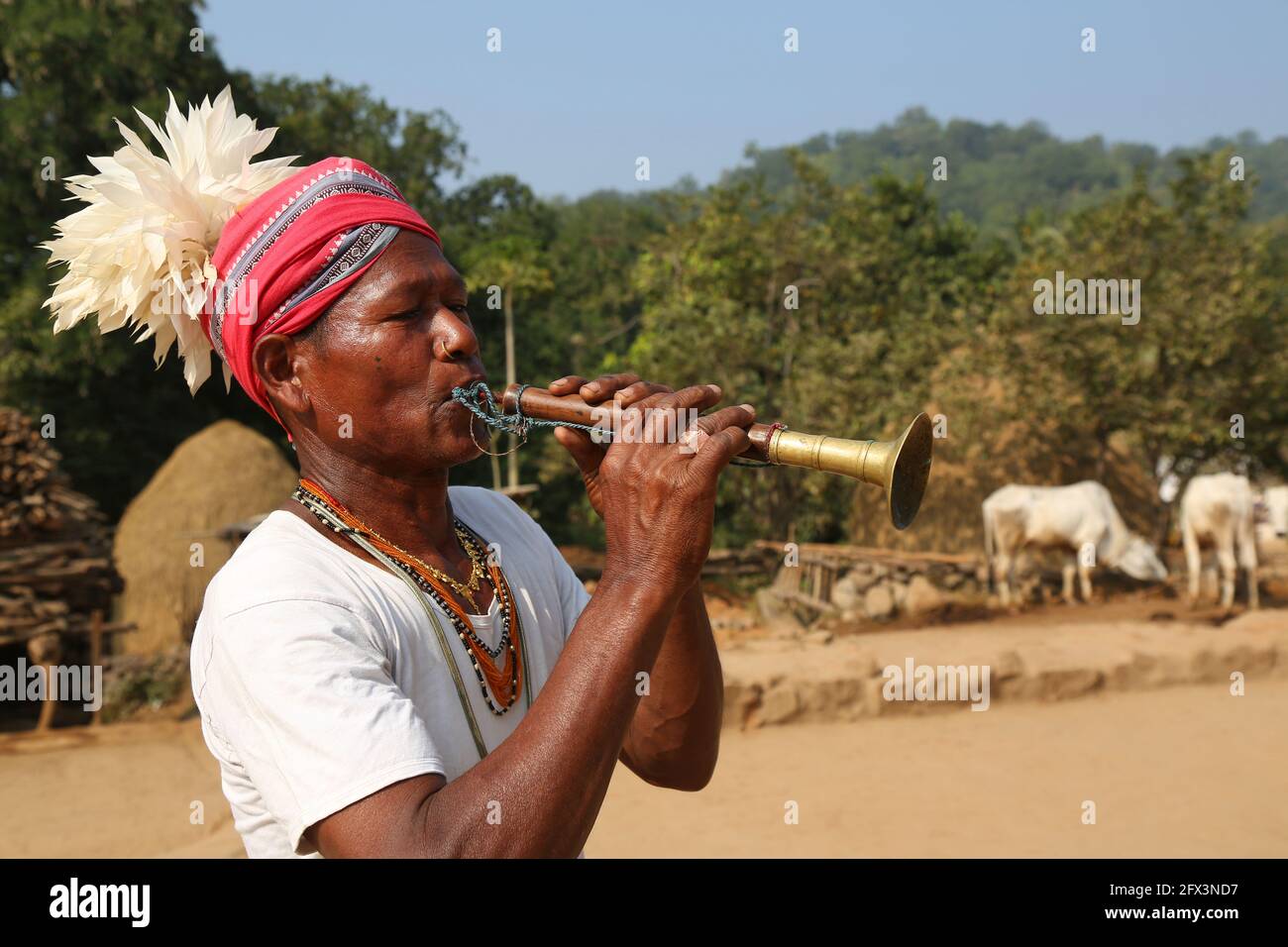 LANJIA SAORA TRIBE - Lanjia Saora piper using Turi a traditional musical instrument. He is wearing white fowl feathers on his head. Puttasingh village Stock Photo