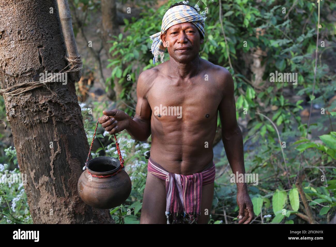 LANJIA SAORA TRIBE -Tribal male  showing toddy collected in Tanguru earthen vessel. Wine drips out overnight from toddy trees into suspended pots ferm Stock Photo