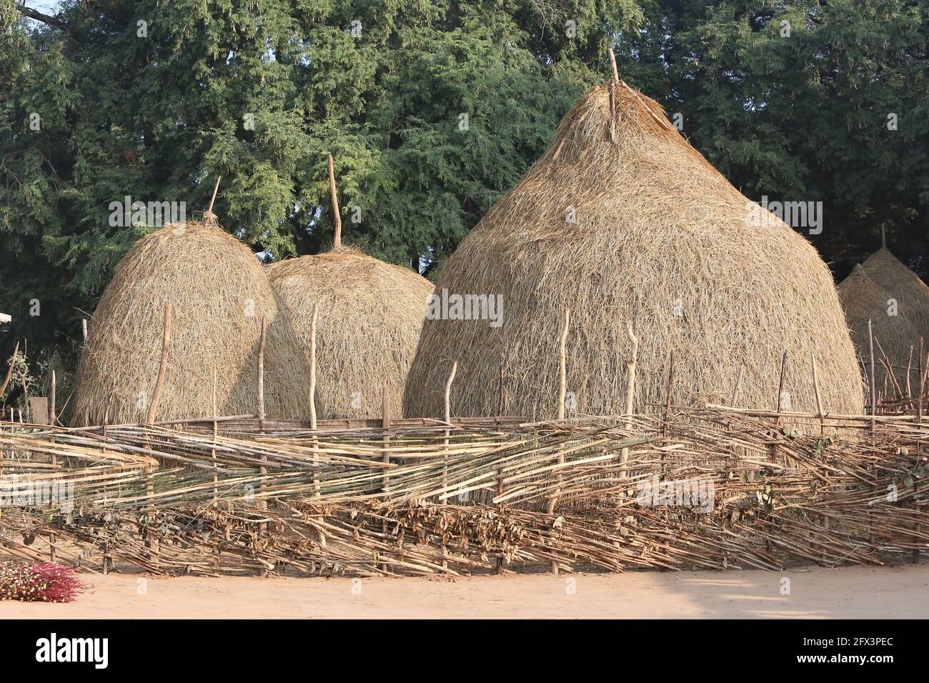 LANJIA SAORA TRIBE - Dry paddy collection or haystacks for animals. Puttasingh tribal village of Odisha, India Stock Photo