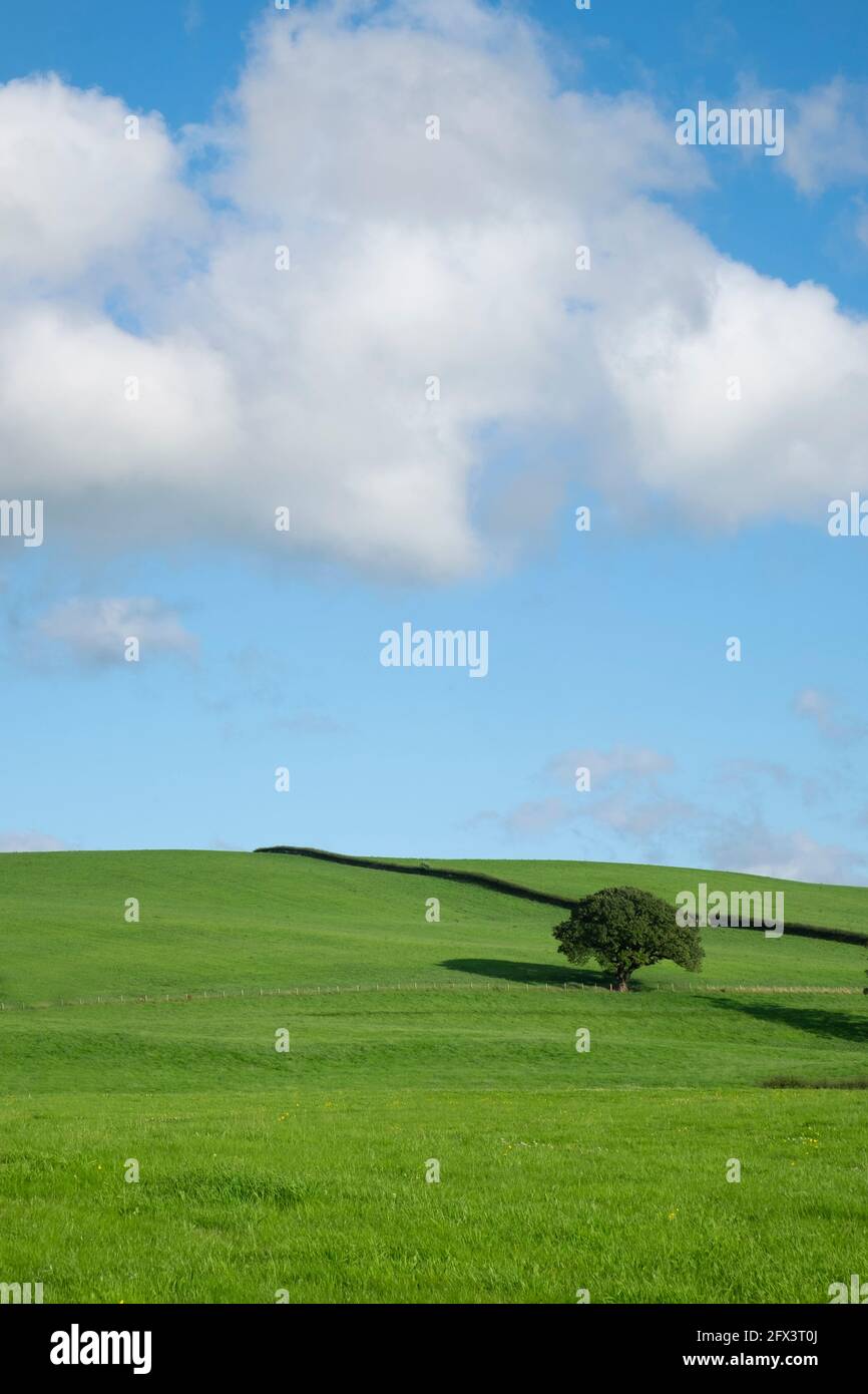 English countryside scene Stock Photo