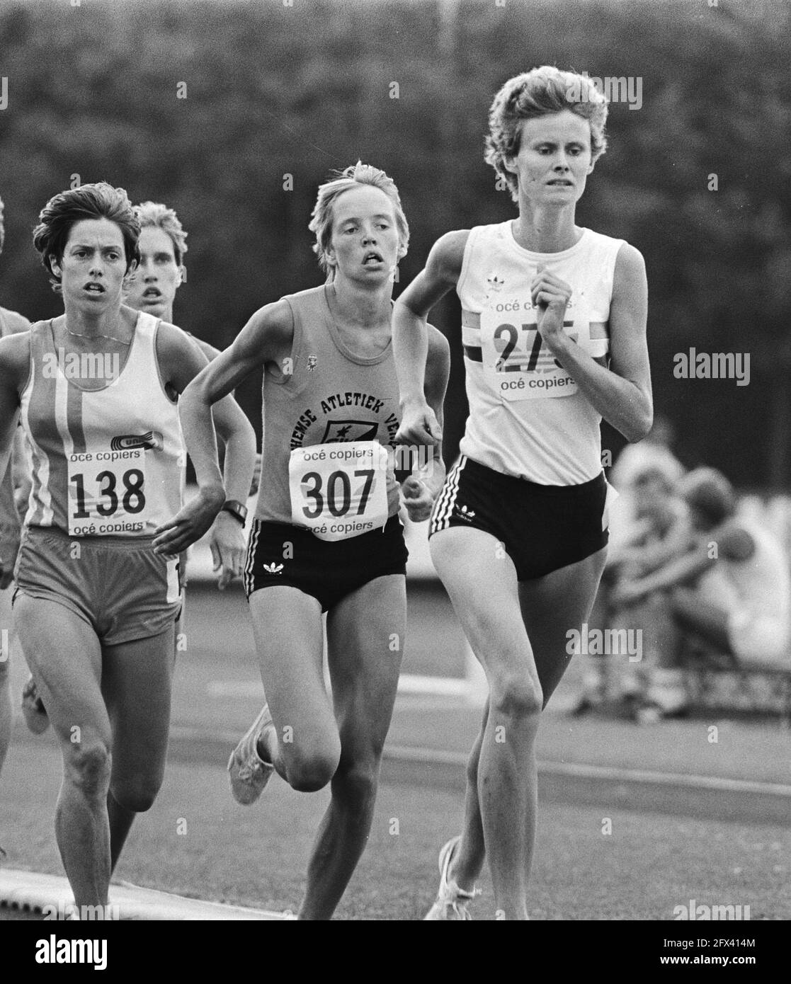 Elly van hulst hi-res stock photography and images - Alamy