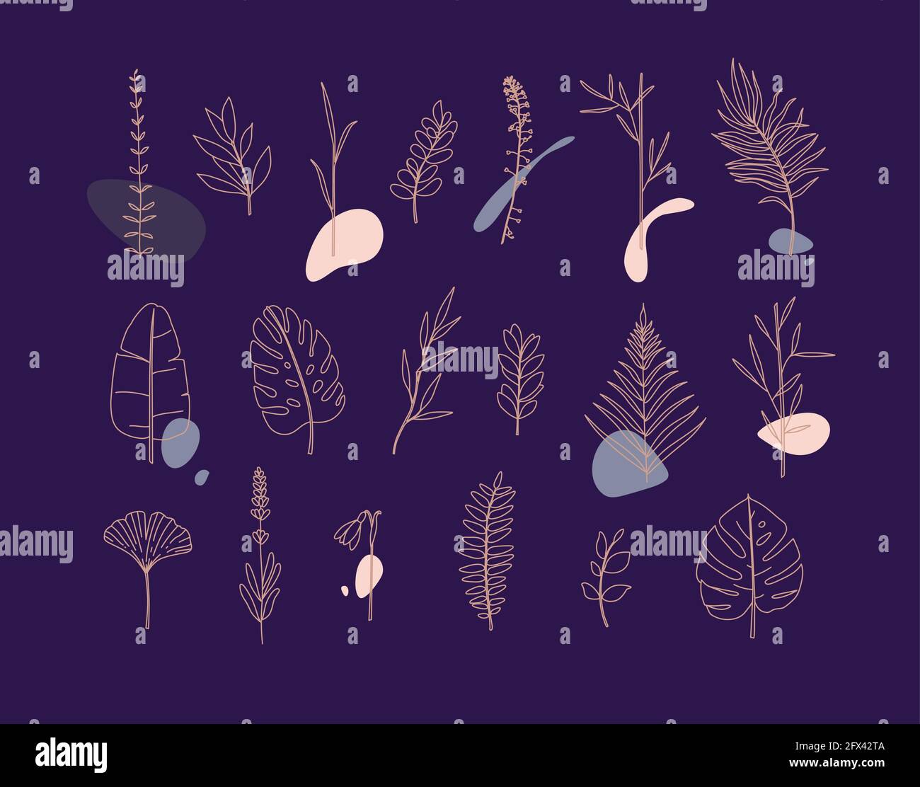 Plant leaf forms Stock Vector Images - Alamy