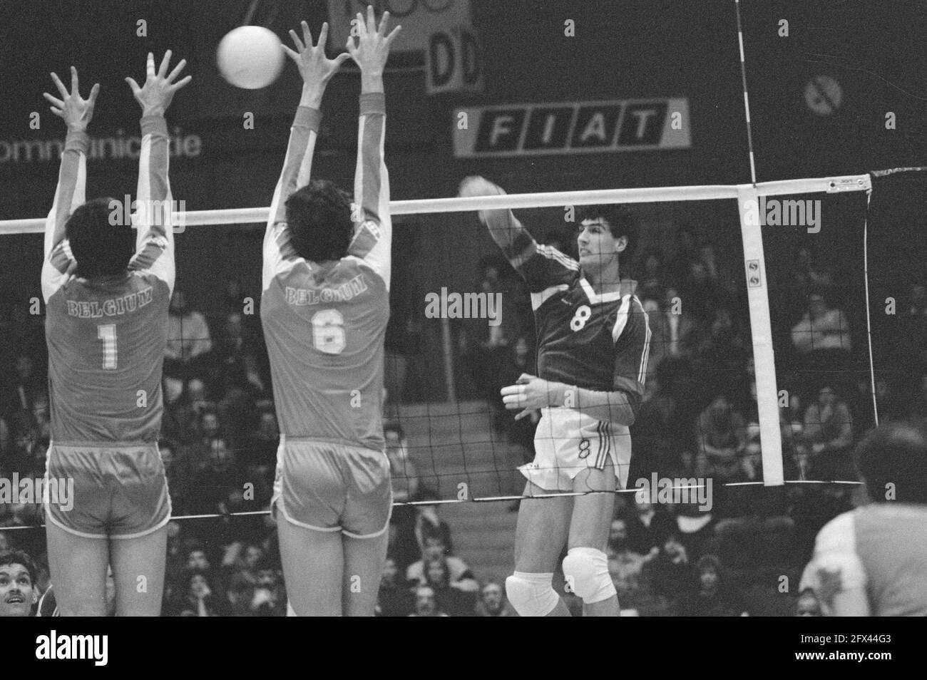 Pre-Olympic volleyball tournament; Netherlands against Belgium; Ron Zwerver (r) smashes, February 4, 1988, tournaments, volleyball, The Netherlands, 20th century press agency photo, news to remember, documentary, historic photography 1945-1990, visual stories, human history of the Twentieth Century, capturing moments in time Stock Photo