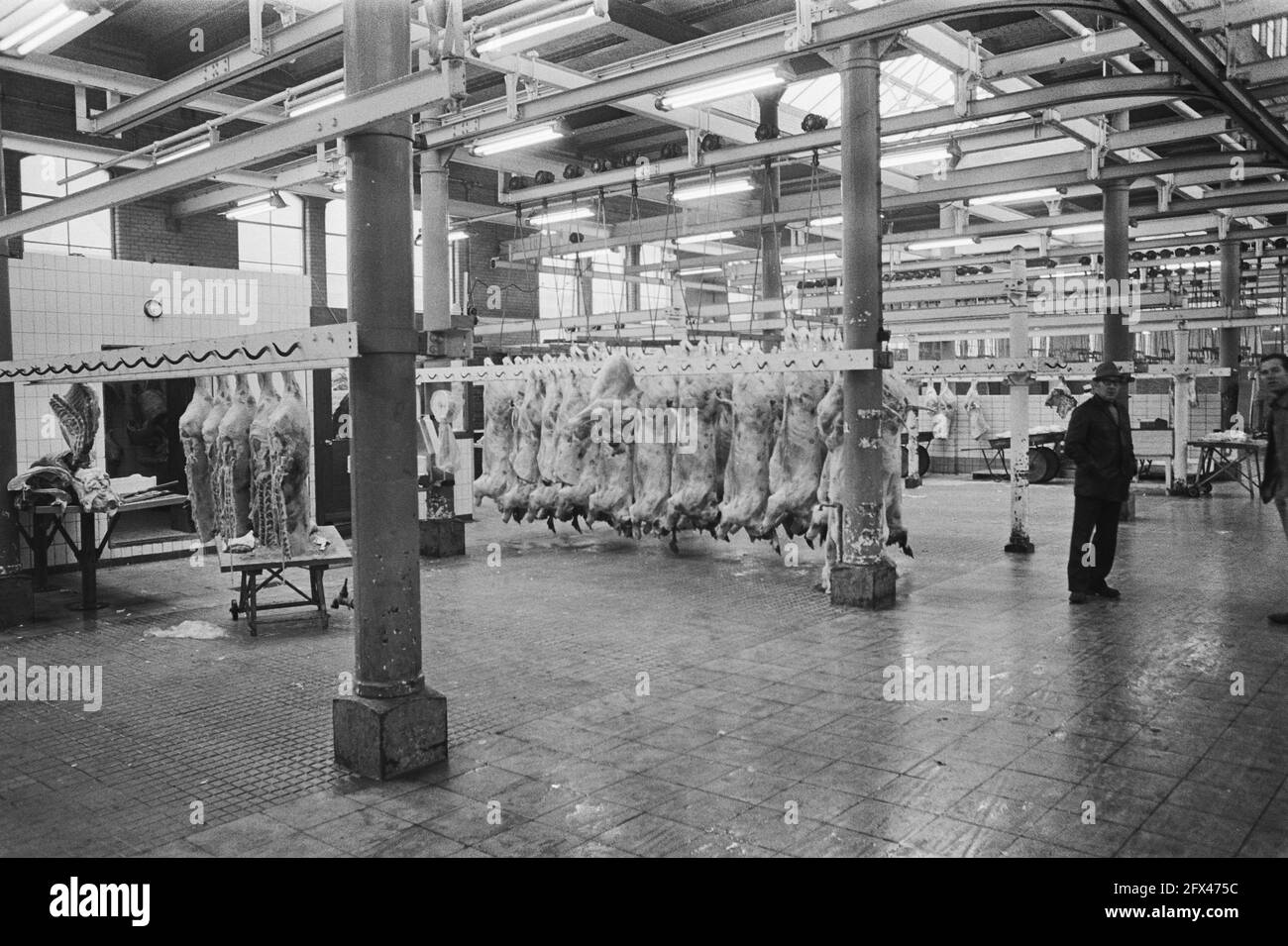 Abattoirs Black and White Stock Photos & Images Alamy