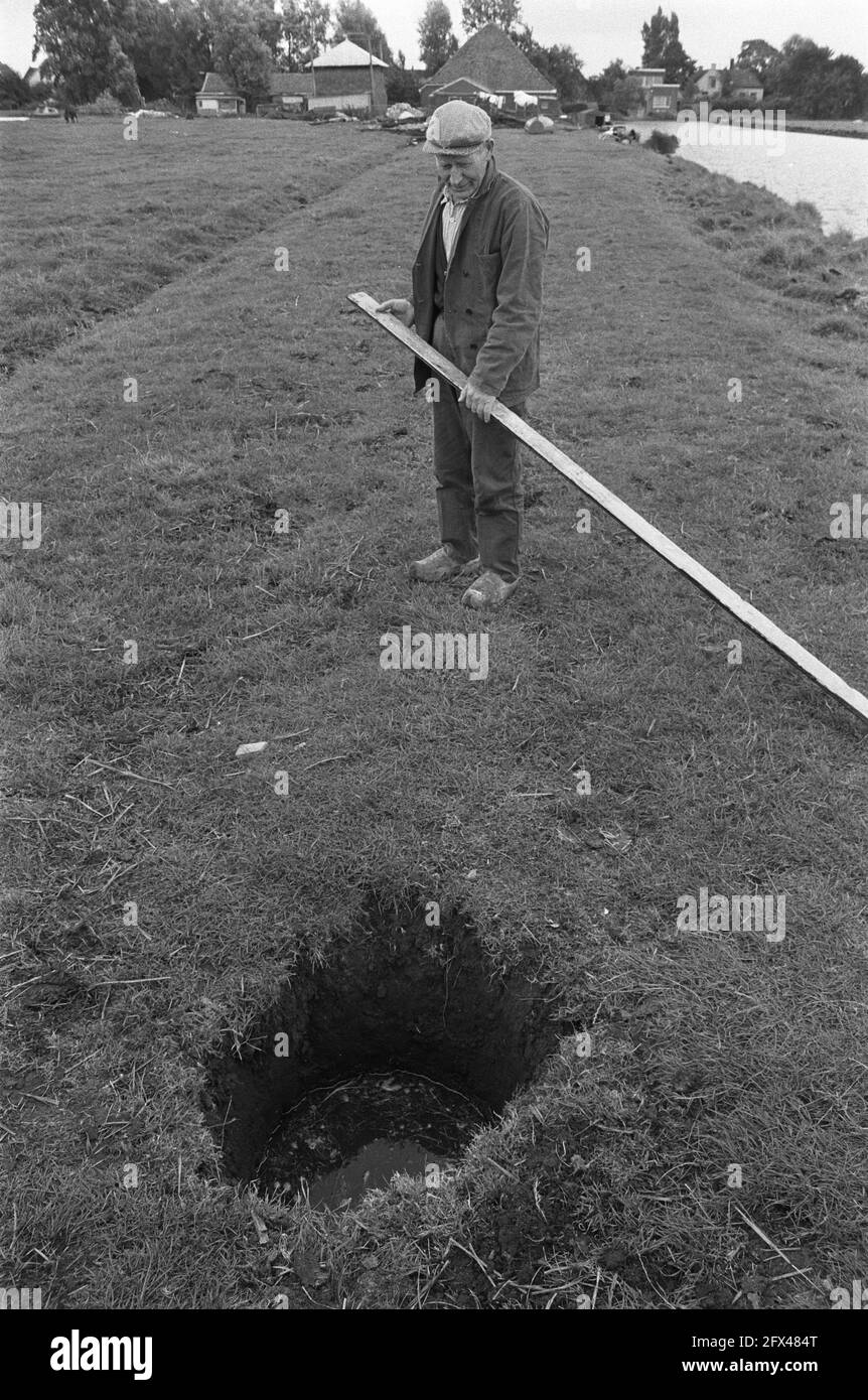 The cattle farmer with a long lath to measure the hole, August 22, 1975, farmers, landslide, measurements, The Netherlands, 20th century press agency photo, news to remember, documentary, historic photography 1945-1990, visual stories, human history of the Twentieth Century, capturing moments in time Stock Photo