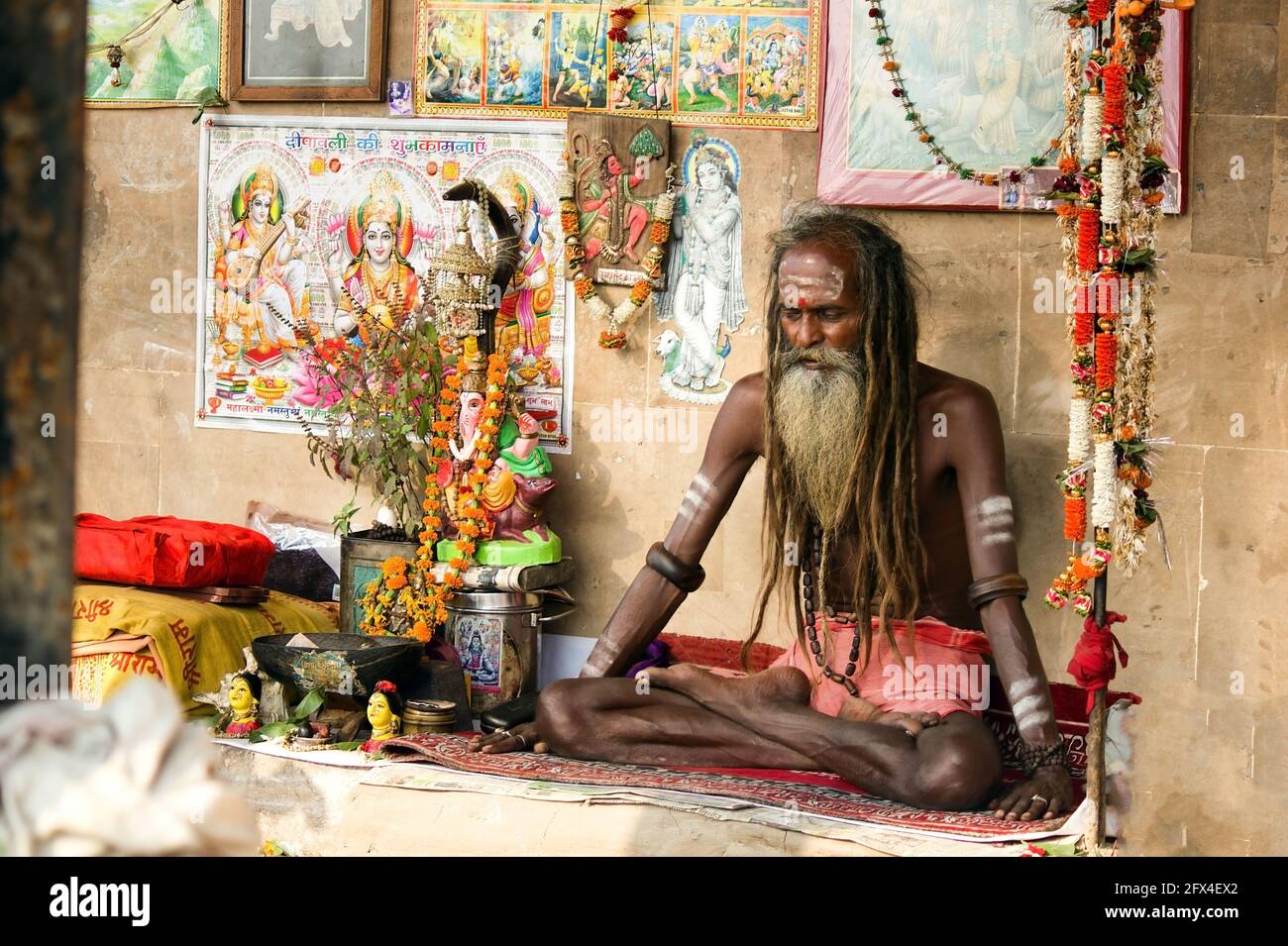 Varanasi, India - November 01, 2016: Portrait of a hindu white bearded sadhu, pilgrim or Aghori baba with closed eyes meditating. dreadlocked hindu ma Stock Photo