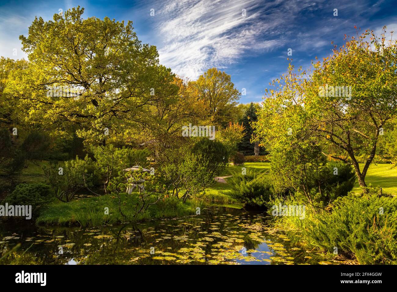 autumn landscape with a pond in the foreground Stock Photo