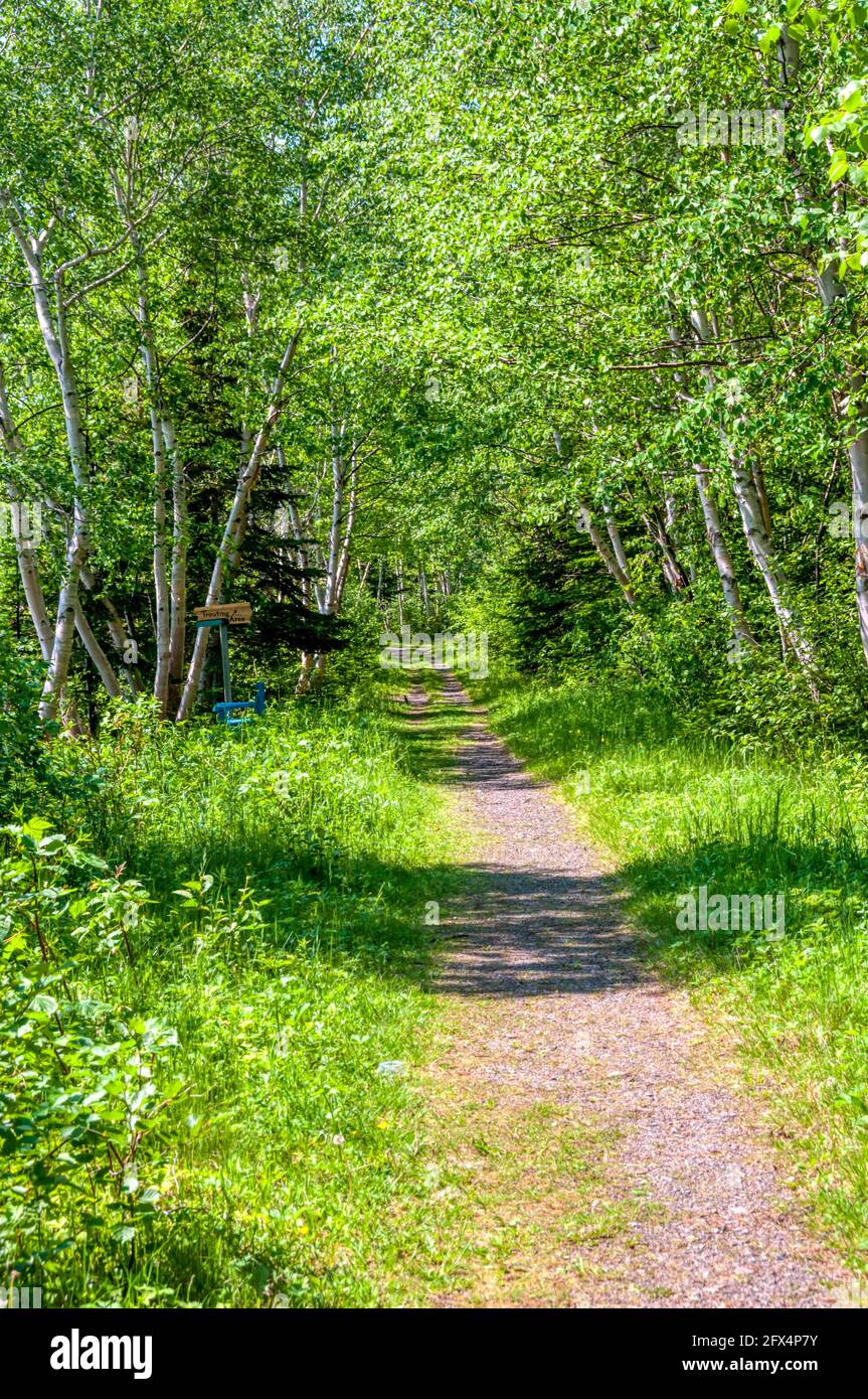 Hazelnut Hiking & Adventure Trail around Crescent Lake at Robert's Arm, Newfoundland. Stock Photo