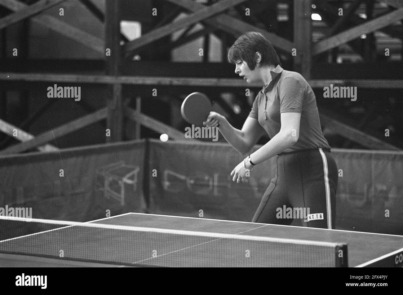 Table tennis netherlands hi-res stock photography and images - Page 9 -  Alamy
