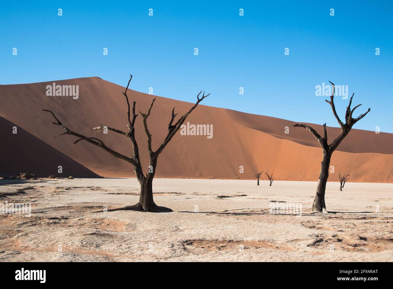 Wind deadvlei hi-res stock photography and images - Alamy