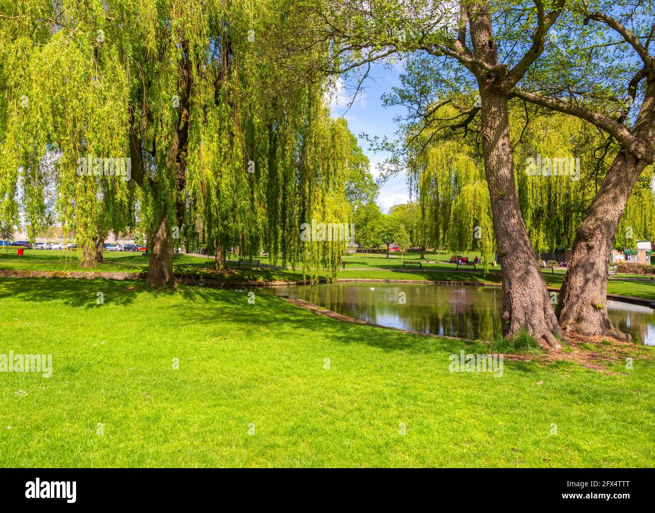 Sanders park skatepark hires stock photography and images Alamy