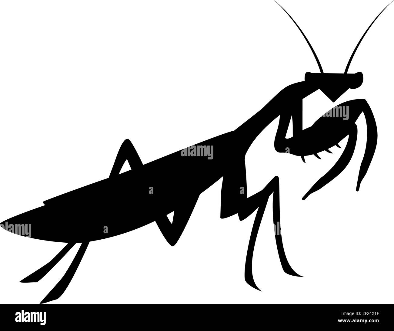 Mantis silhouette design Stock Vector Image &amp; Art - Alamy