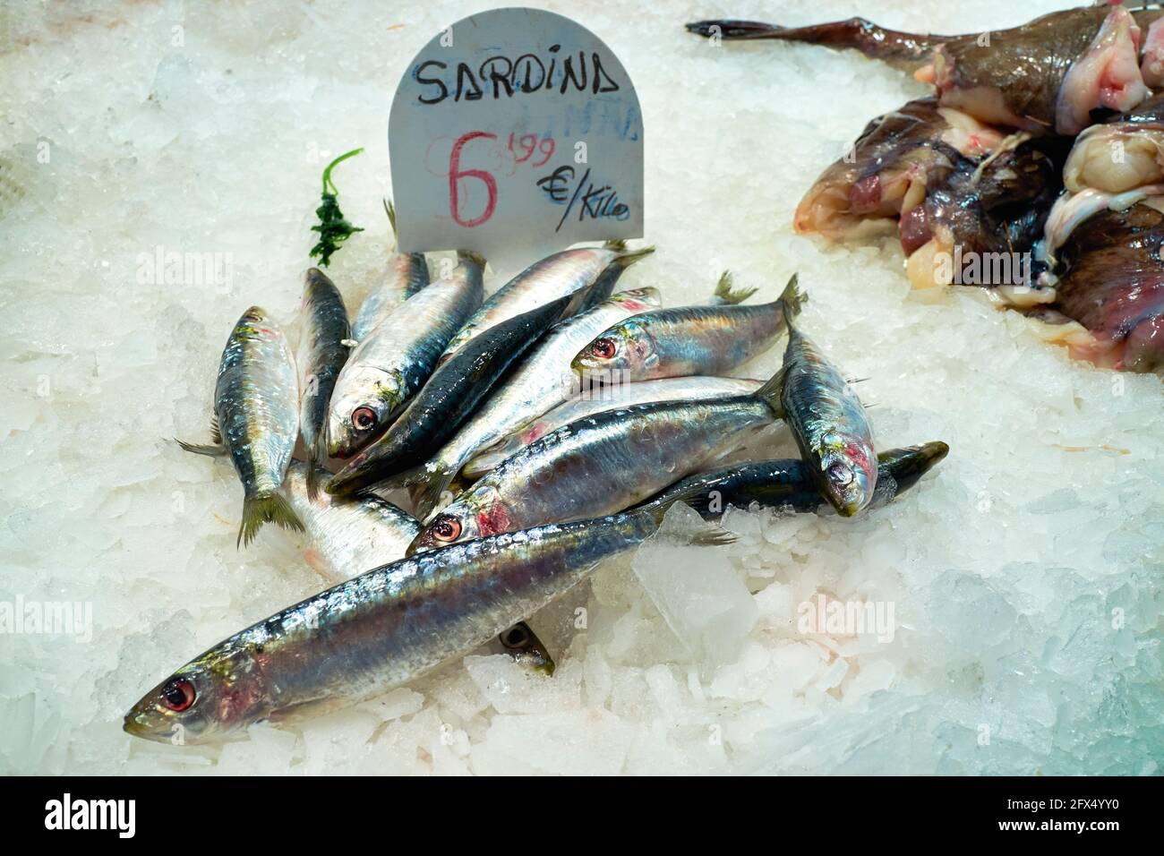 Barcelona. Catalonia. Spain. The Mercat de Sant Josep de la Boqueria. Fresh sardines at fishmonger stall Stock Photo