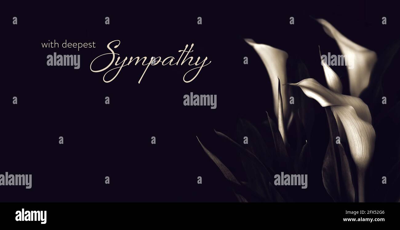 Sympathy card with calla lily flowers Stock Photo
