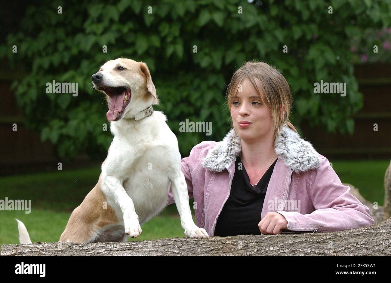 PUZZLE WITH ZARA WILSON WHO HELPS AT THE ARDLEY RESCUE KENNELS PIC MIKE WALKER, 2005 Stock Photo