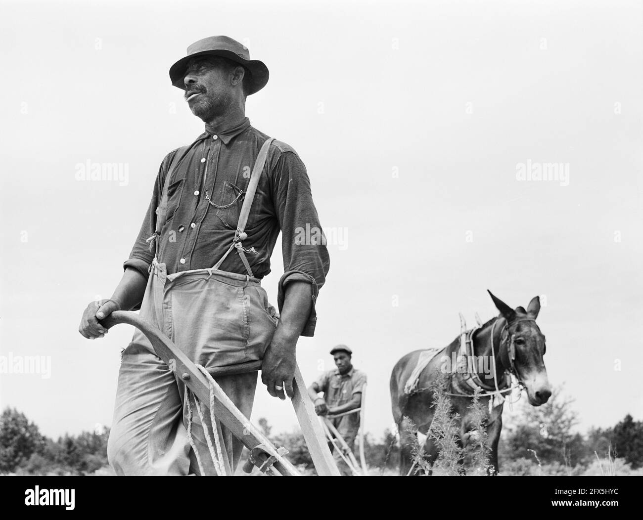 Mr. Jim Brown, Landowner, Greene County, Georgia, Jack Delano, U.S. Farm Security Administration, June 1941 Stock Photo