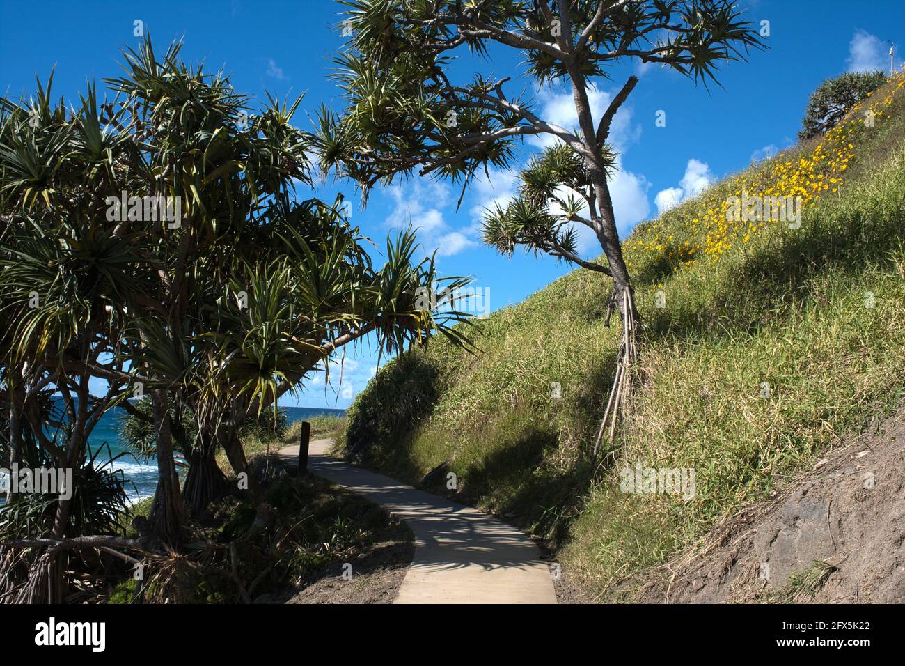 The walking path in Burleigh National Park in Queensland Australia Stock Photo