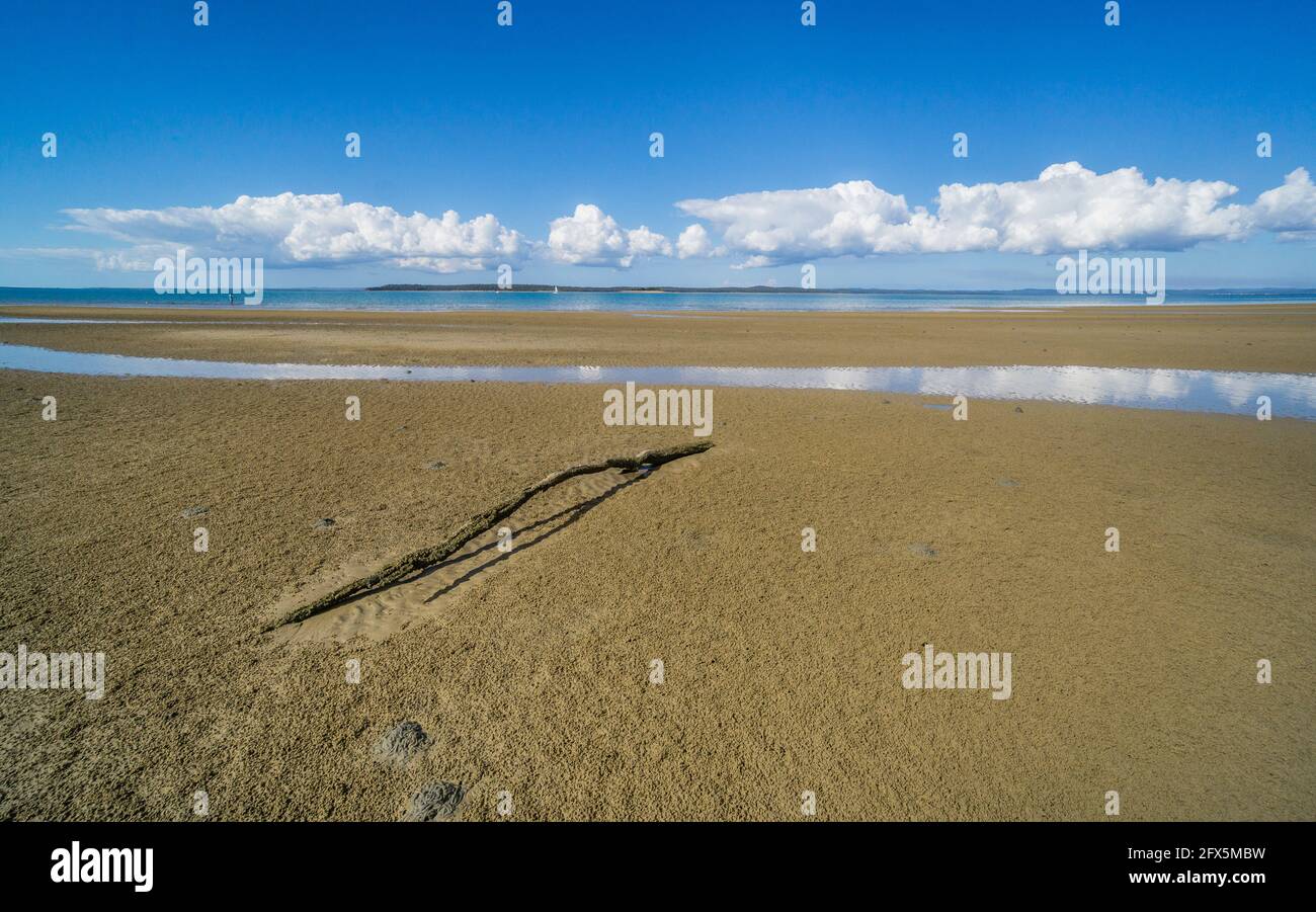 tidal flats during low tide at Hervey Bay, Fraser Coast Region, Queensland, Australia Stock Photo