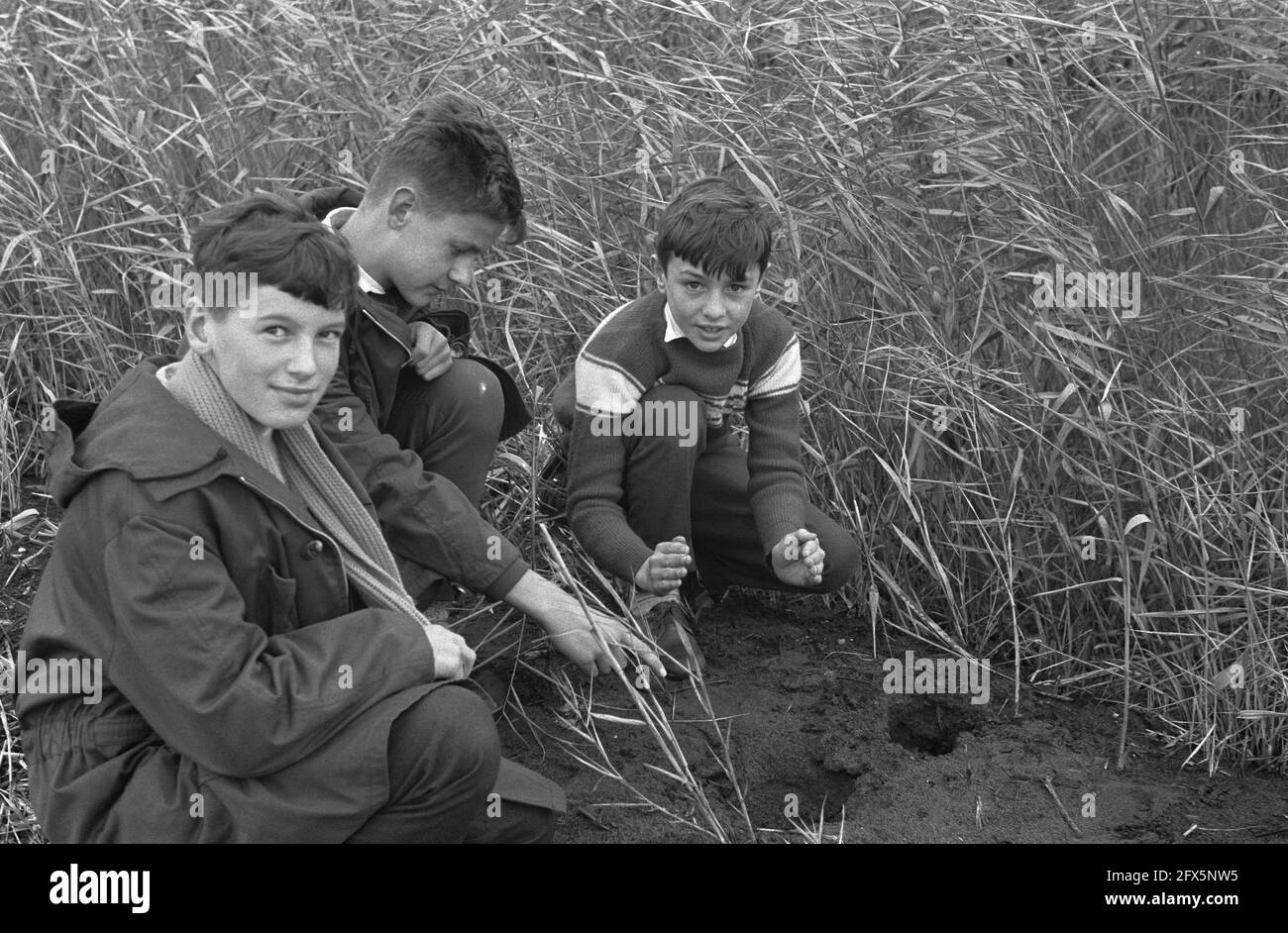 Dangerous (?) projectile found at Naarden, November 21, 1960, The Netherlands, 20th century press agency photo, news to remember, documentary, historic photography 1945-1990, visual stories, human history of the Twentieth Century, capturing moments in time Stock Photo