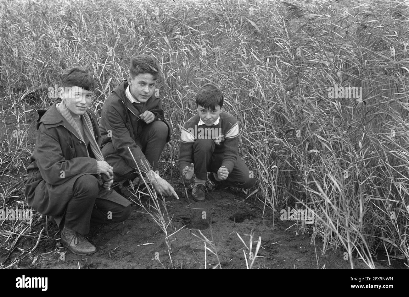 Dangerous (?) projectile found at Naarden, from left to right R. H. Horwitz, H. Tomassen and G. Buur, November 21, 1960, The Netherlands, 20th century press agency photo, news to remember, documentary, historic photography 1945-1990, visual stories, human history of the Twentieth Century, capturing moments in time Stock Photo