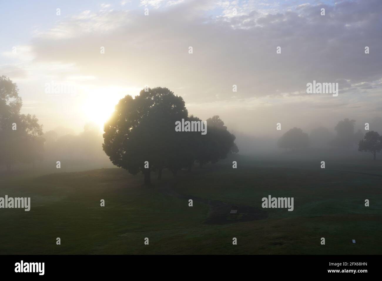 Misty Autumn Morning Landscape with Trees Stock Photo - Alamy
