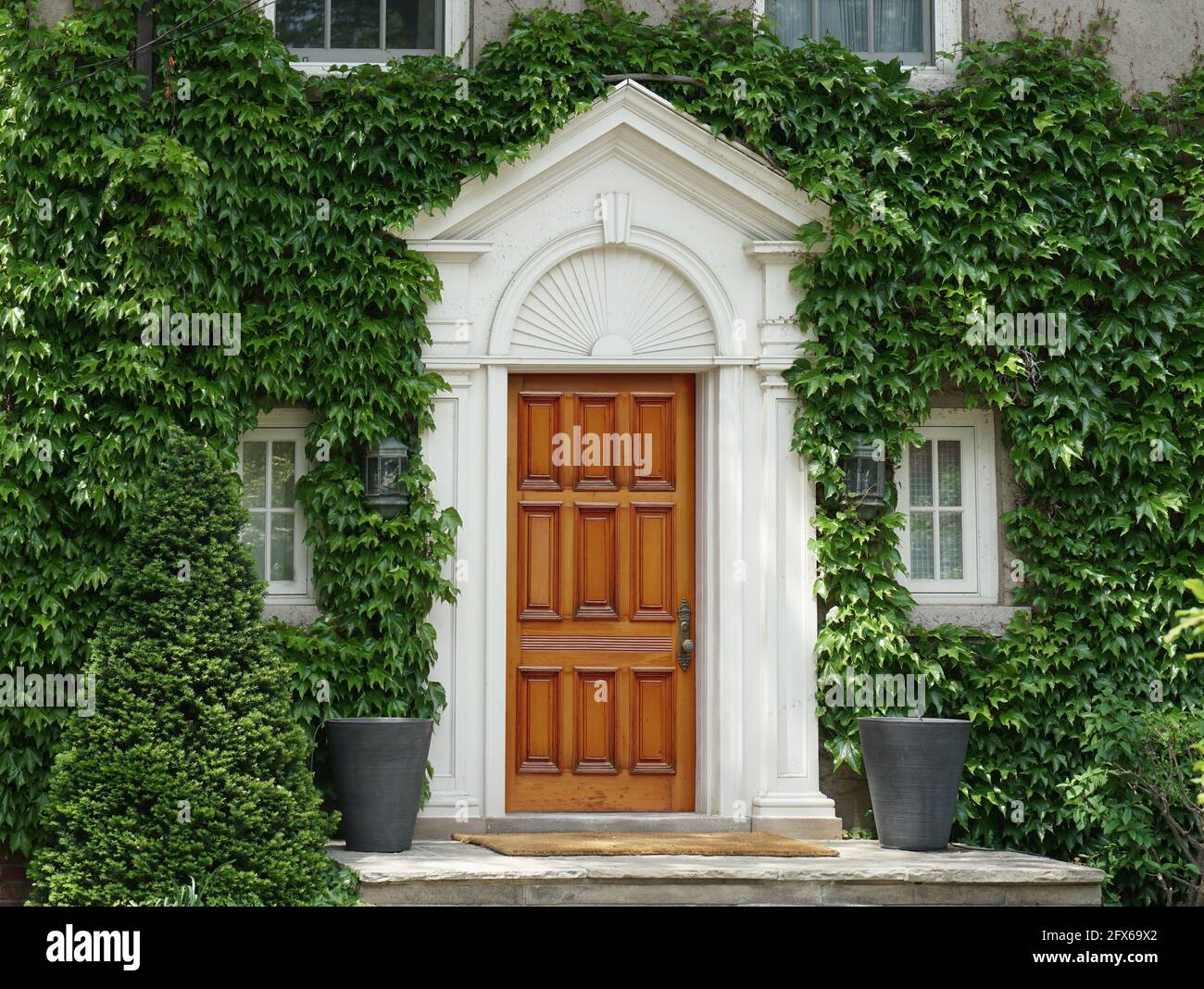 Elegant wood grain front door of ivy covered house Stock Photo - Alamy