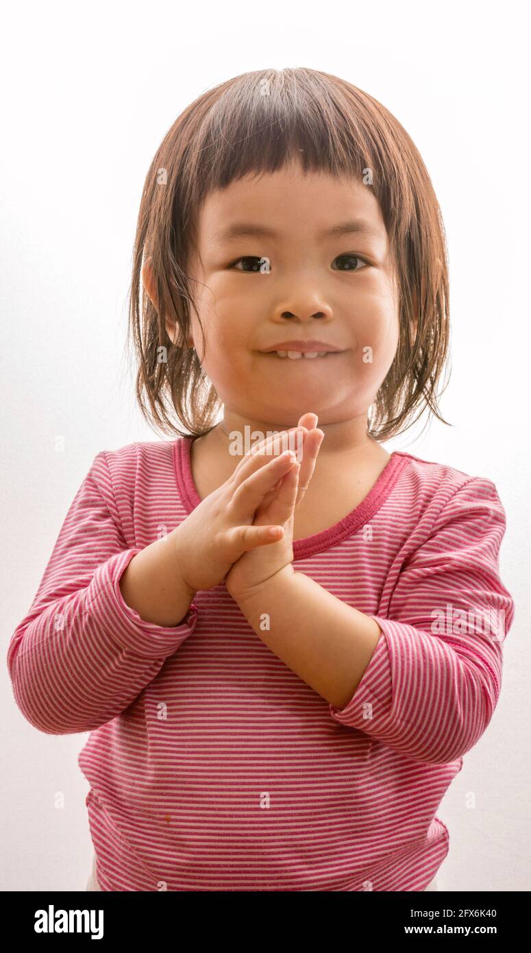 Portrait cute Asian or Thai toddler girl on white background, a child trying to greet in Thailand culture by put both hand together or be called Sawat Stock Photo