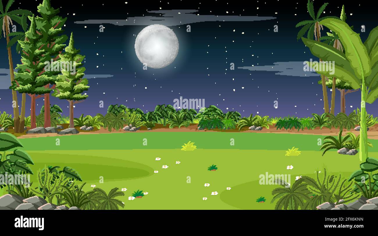 Nature forest landscape at night scene illustration Stock Vector Image ...