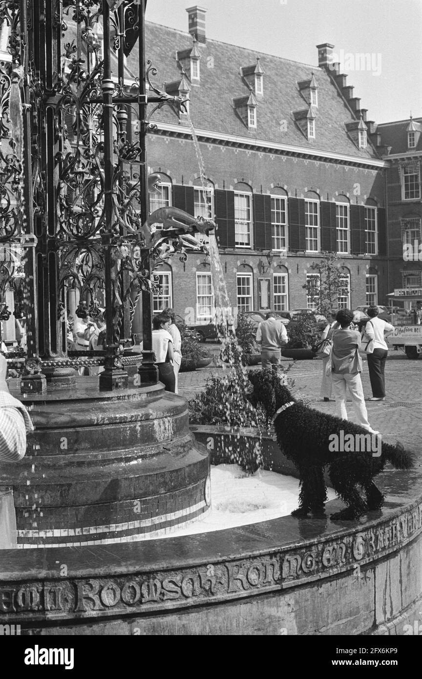 Dog drinking from fountain at Binnenhof, August 14, 1981, fountains, dogs, The Netherlands, 20th century press agency photo, news to remember, documentary, historic photography 1945-1990, visual stories, human history of the Twentieth Century, capturing moments in time Stock Photo