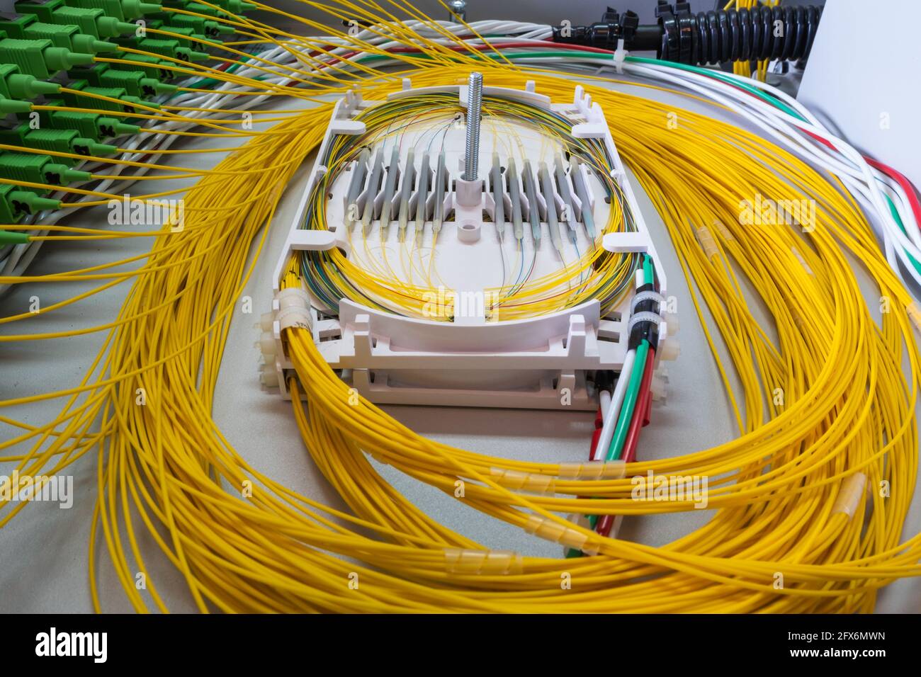 Fiber optic connection, spice tray in optical distribution frame of telecommunication systems Stock Photo