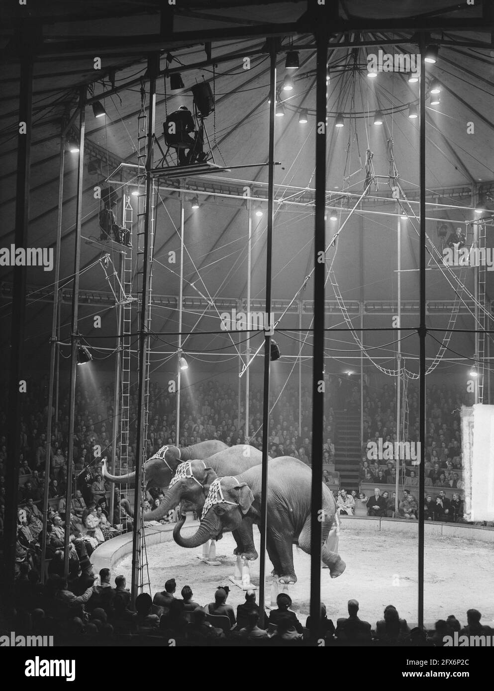 Circus Mikkenie, May 26, 1949, The Netherlands, 20th century press agency photo, news to remember, documentary, historic photography 1945-1990, visual stories, human history of the Twentieth Century, capturing moments in time Stock Photo