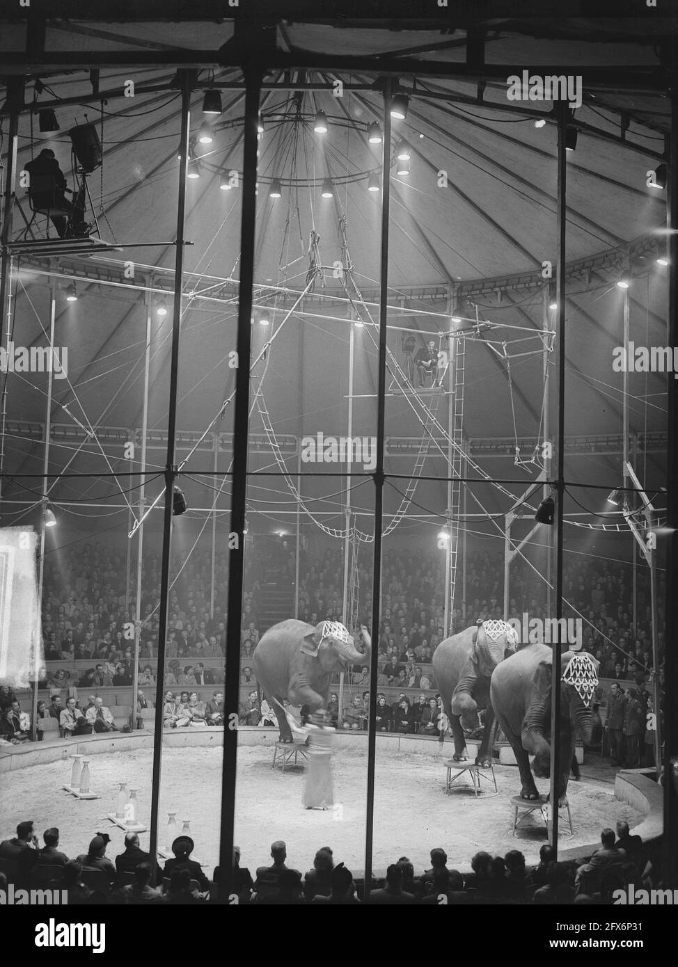 Circus Mikkenie, May 26, 1949, The Netherlands, 20th century press agency photo, news to remember, documentary, historic photography 1945-1990, visual stories, human history of the Twentieth Century, capturing moments in time Stock Photo