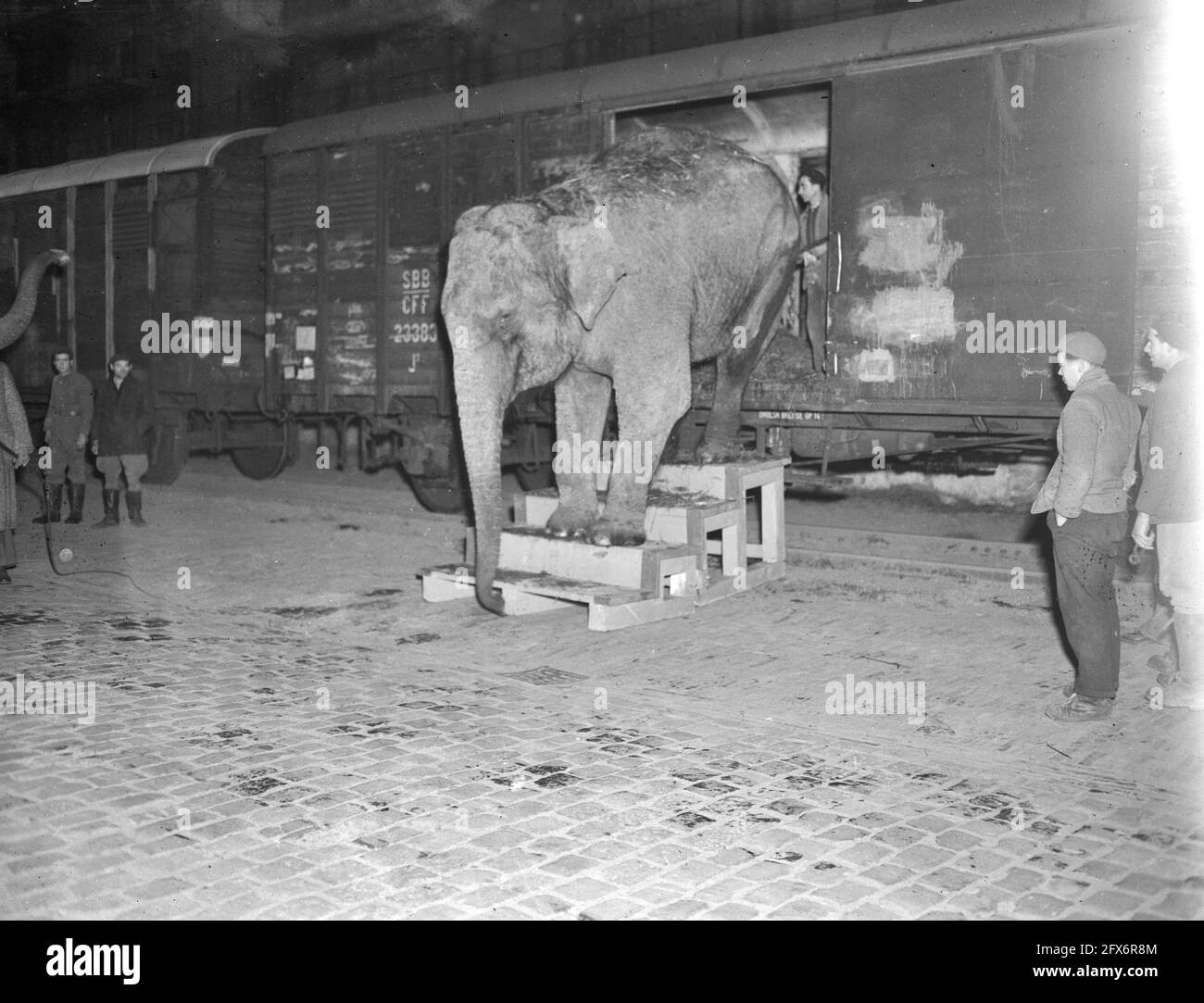 Circus Union, December 13, 1946, CIRCUS, UNION, The Netherlands, 20th century press agency photo, news to remember, documentary, historic photography 1945-1990, visual stories, human history of the Twentieth Century, capturing moments in time Stock Photo