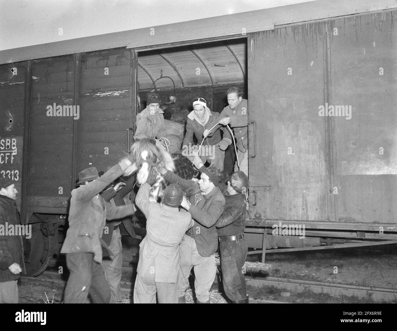 Circus Union, December 13, 1946, CIRCUS, UNION, The Netherlands, 20th century press agency photo, news to remember, documentary, historic photography 1945-1990, visual stories, human history of the Twentieth Century, capturing moments in time Stock Photo