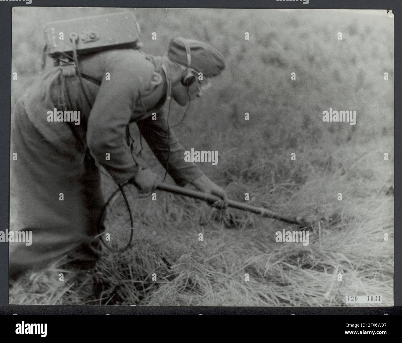 Clearing landmines near Hoek van Holland. A German prisoner of war searches the area with an electric mine detector. Before him the area has been searched with metal rods. Following him are the prisoners of war who must walk arm in arm across the field, August 1945, prisoners of war, landmines, second world war, reconstruction, The Netherlands, 20th century press agency photo, news to remember, documentary, historic photography 1945-1990, visual stories, human history of the Twentieth Century, capturing moments in time Stock Photo