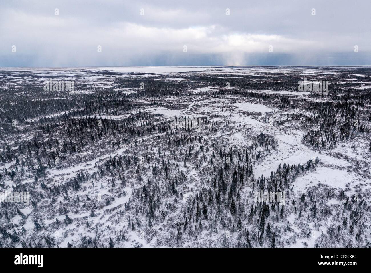 Boreal forest landscape of northern Manitoba, outside of Churchill in northern tundra, arctic country on the shores of Hudson Bay. Aerial, birds eye. Stock Photo