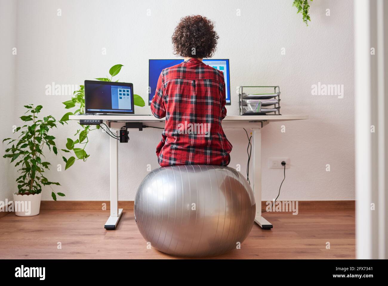 Back view of a woman teleworking sitting on a fitball in front of her desk Stock Photo