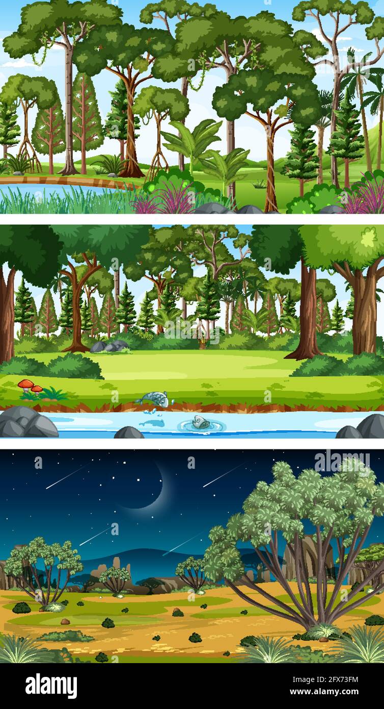 Three different nature horizontal scenes illustration Stock Vector