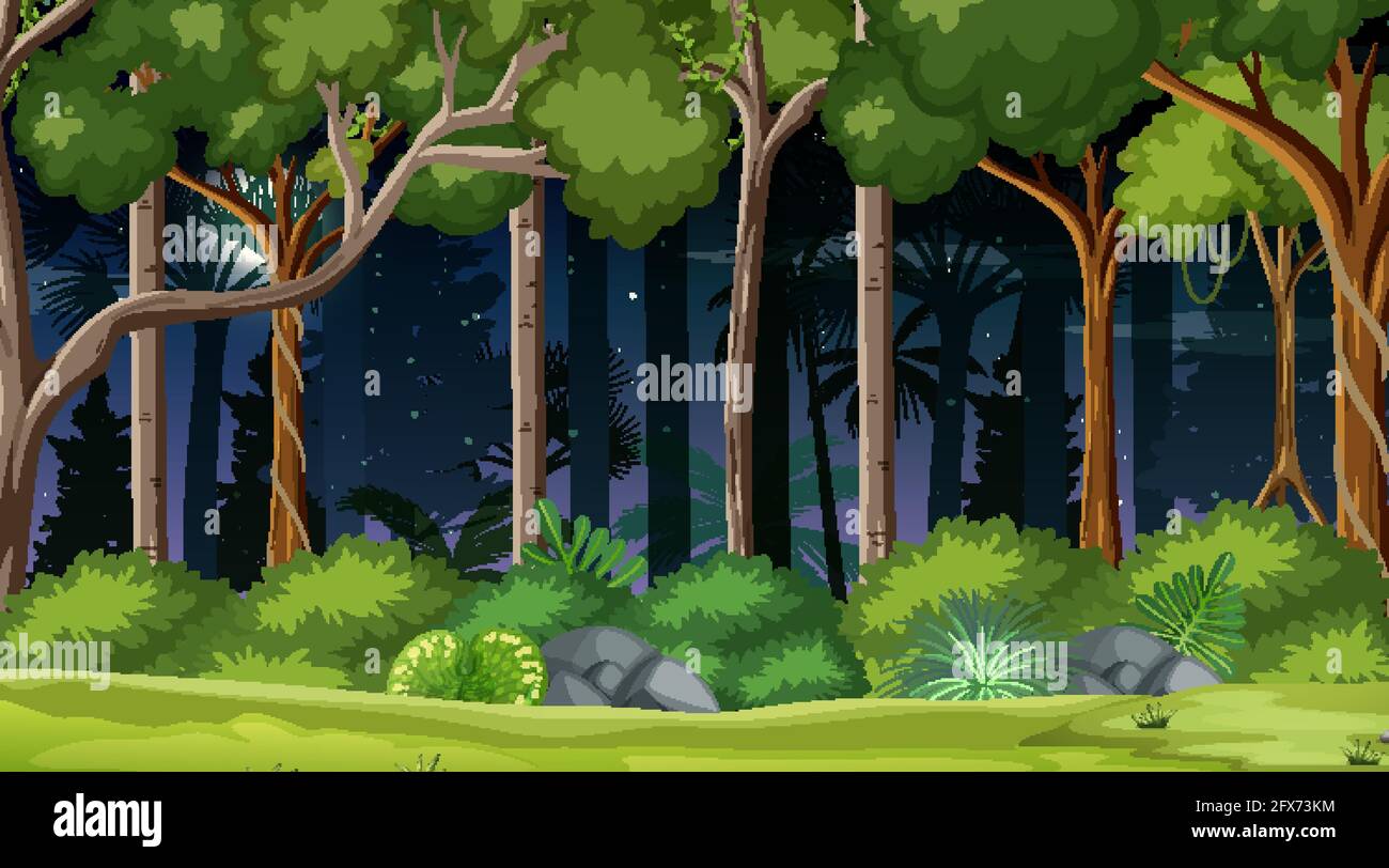 Forest landscape scene at night with many trees illustration Stock ...