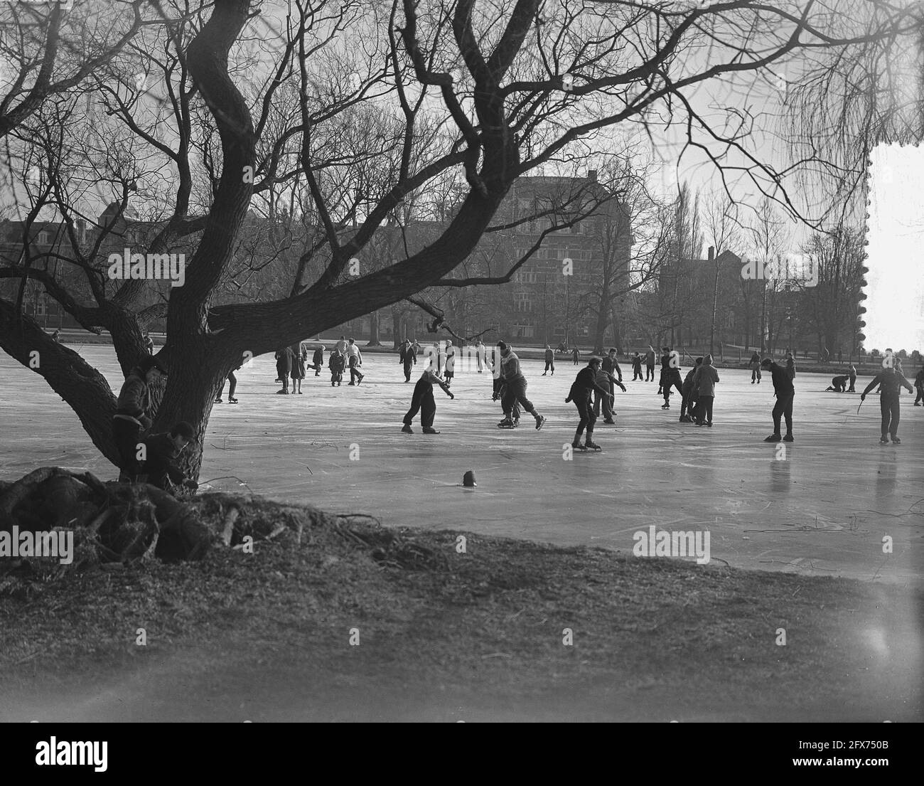 Vondelpark in amsterdam Black and White Stock Photos & Images - Page 3 -  Alamy
