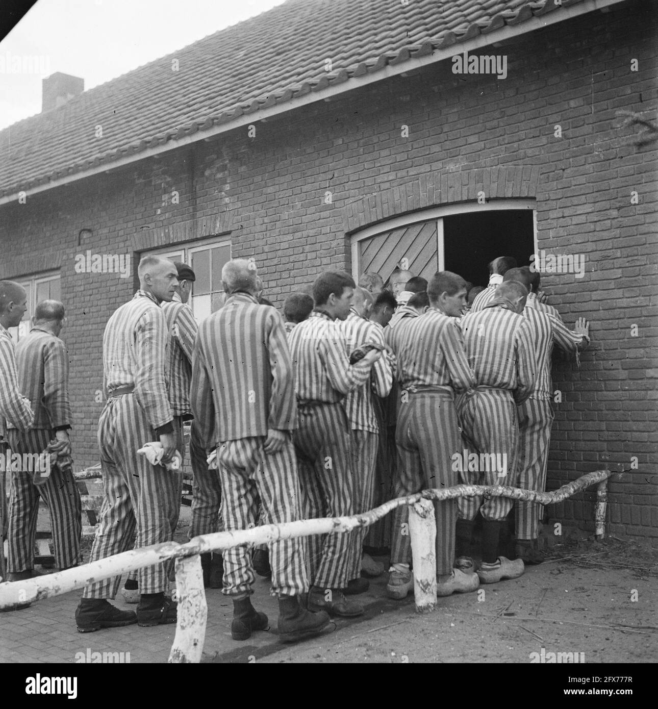 In the penal camp at Vught, 7000 Dutch collaborators and land traitors are locked up. Soldiers of the Dutch Stoottroepen are in charge of the security, especially of the 300 Dutch SS men. Led by the camp commander, Major L. Mennes, and his aides, these prisoners are used to clear the area around Vught of land mines, among other things. They were dressed in the blue and white striped prisoner's uniforms of the former Dutchmen captured by the Germans. The prisoners receive the minimum civilian ration, which is also reduced because all delicacies have been taken off. They spend their days here Stock Photo