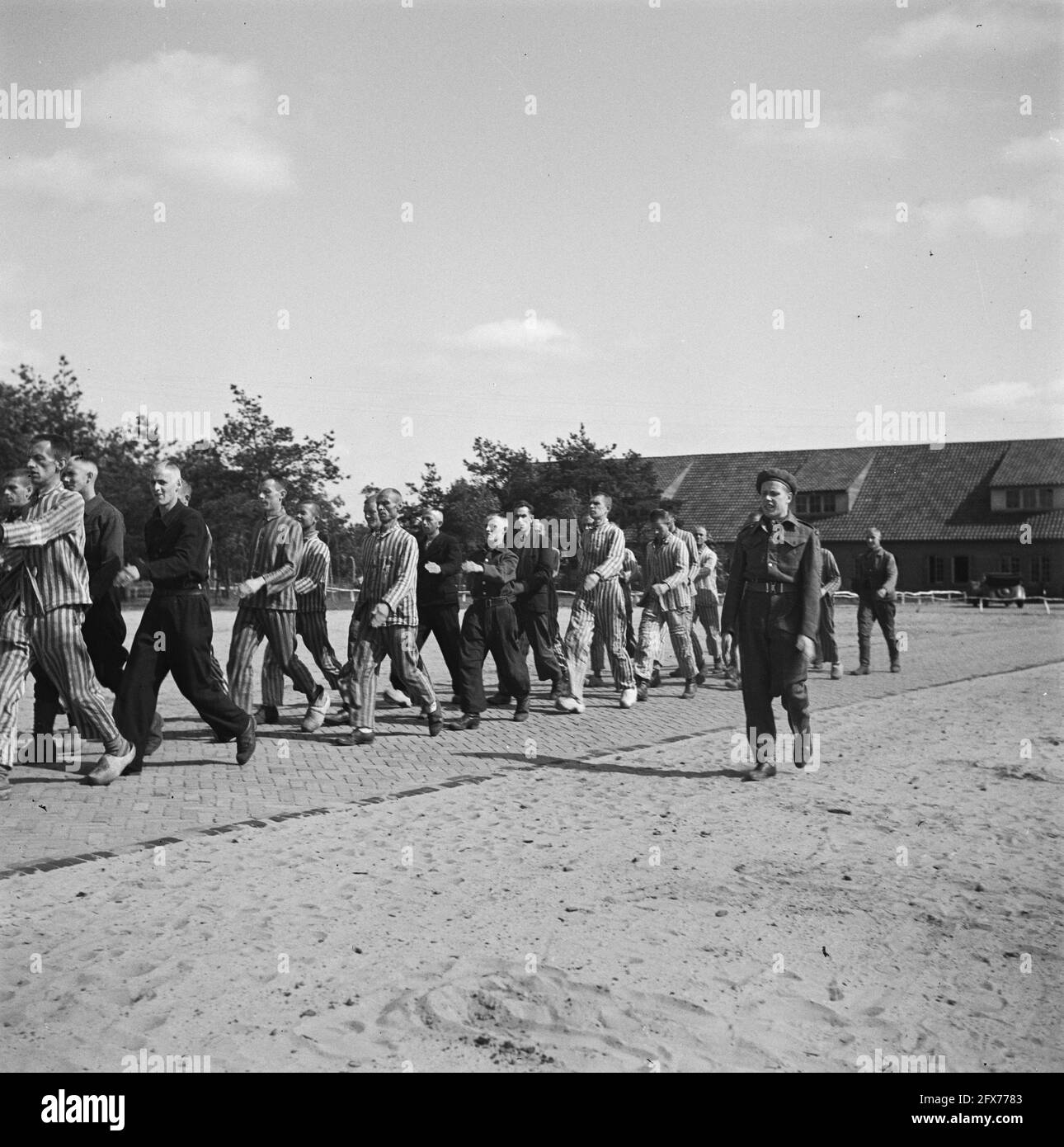 In the penal camp at Vught, 7000 Dutch collaborators and land traitors are locked up. Soldiers of the Dutch Stoottroepen are in charge of the security, especially of the 300 Dutch SS men. Led by the camp commander, Major L. Mennes, and his aides, these prisoners are used to clear the area around Vught of land mines, among other things. They were dressed in the blue and white striped prisoner's uniforms of the former Dutchmen captured by the Germans. The prisoners receive the minimum civilian ration, which is also reduced because all delicacies have been taken off. They spend their days here Stock Photo