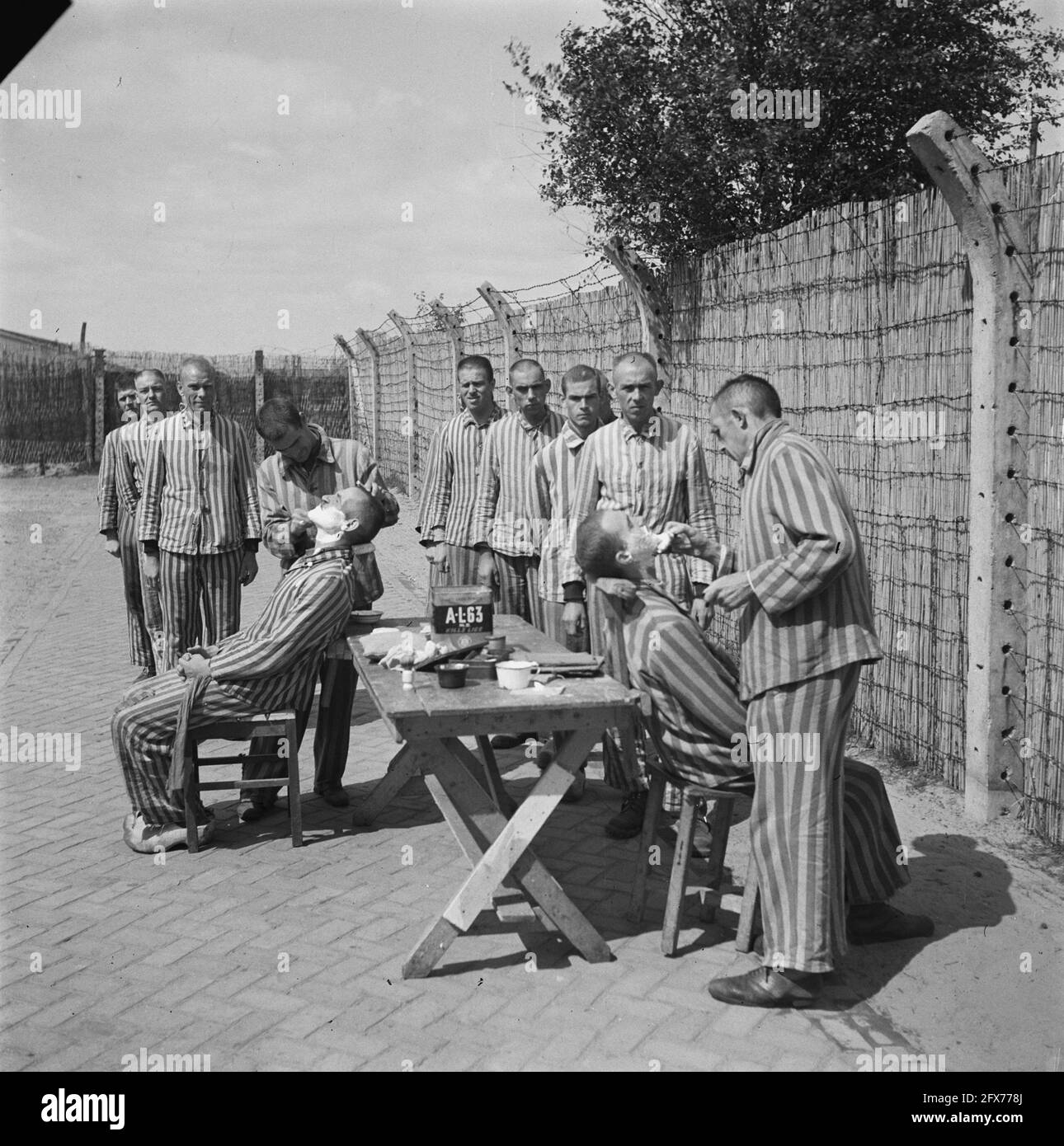 In the penal camp at Vught, 7000 Dutch collaborators and land traitors are locked up. Soldiers of the Dutch Stoottroepen are in charge of the security, especially of the 300 Dutch SS men. Led by the camp commander, Major L. Mennes, and his aides, these prisoners are used to clear the area around Vught of land mines, among other things. They were dressed in the blue and white striped prisoner's uniforms of the former Dutchmen captured by the Germans. The prisoners receive the minimum civilian ration, which is also reduced because all delicacies have been taken off. They spend their days here Stock Photo