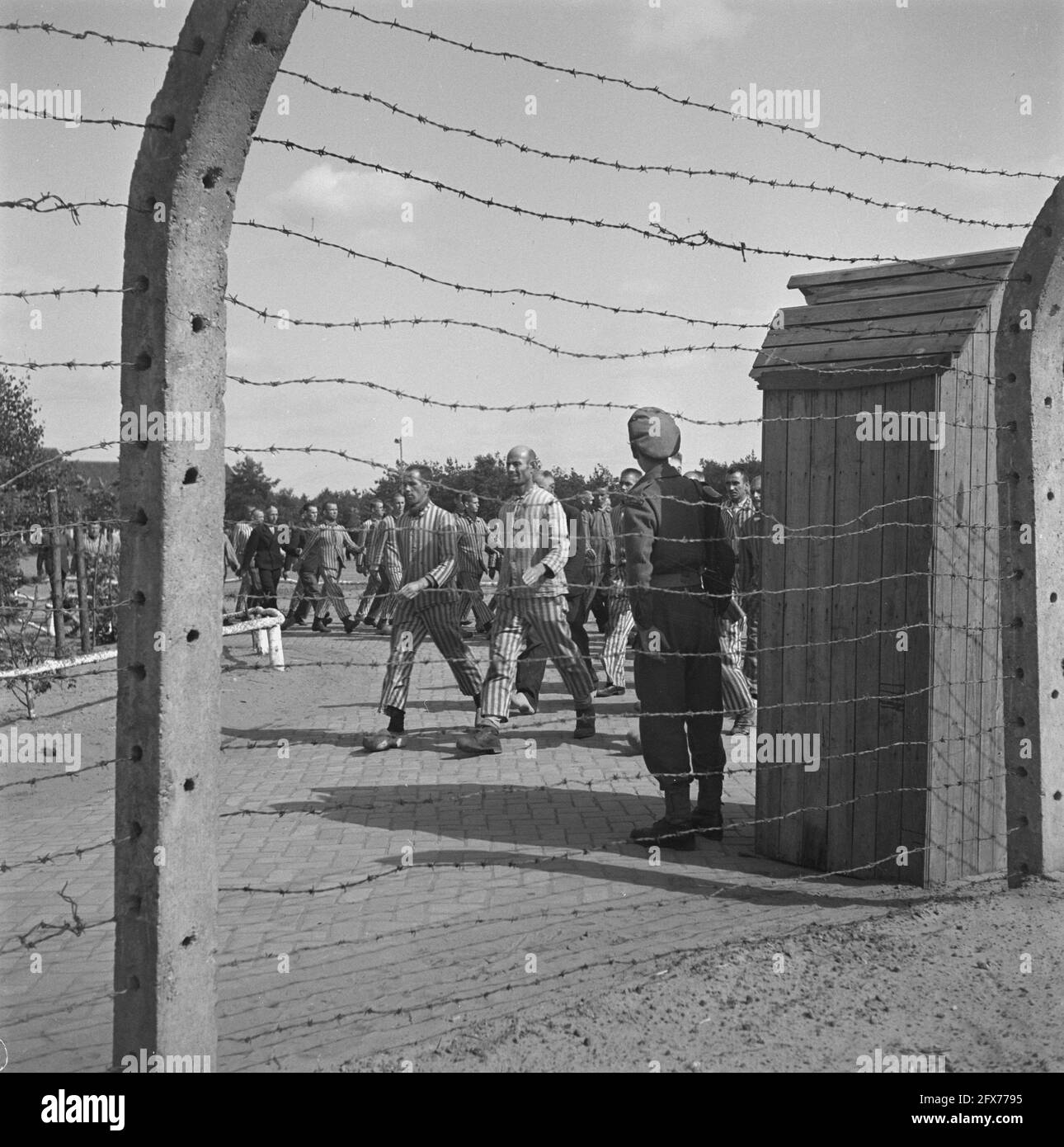 In the penal camp at Vught, 7000 Dutch collaborators and traitors are locked up. Soldiers of the Dutch Stoottroepen are in charge of the security, especially of the 300 Dutch SS men. Led by the camp commander, Major L. Mennes, and his aides, these prisoners are used to clear the area around Vught of land mines, among other things. They were dressed in the blue and white striped prisoner's uniforms of the former Dutchmen captured by the Germans. The prisoners receive the minimum civilian ration, which is also reduced because all delicacies have been taken off. While waiting for their final Stock Photo