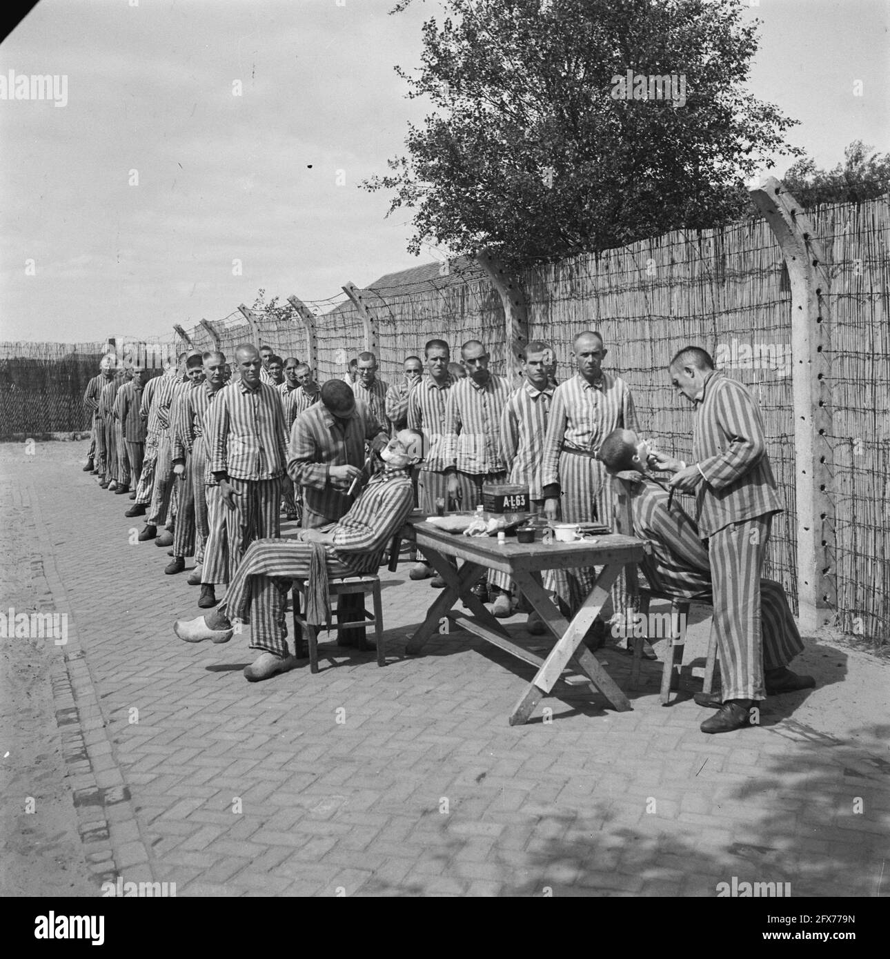 In the penal camp at Vught, 7,000 Dutch collaborators and traitors are locked up. Soldiers of the Dutch Stoottroepen are in charge of the security, especially of the 300 Dutch SS men. Led by the camp commander, Major L. Mennes, and his aides, these prisoners are used to clear the area around Vught of land mines, among other things. They were dressed in the blue and white striped prisoner's uniforms of the former Dutchmen captured by the Germans. The prisoners receive the minimum civilian ration, which is also reduced because all delicacies have been taken off. They spend their days here under Stock Photo