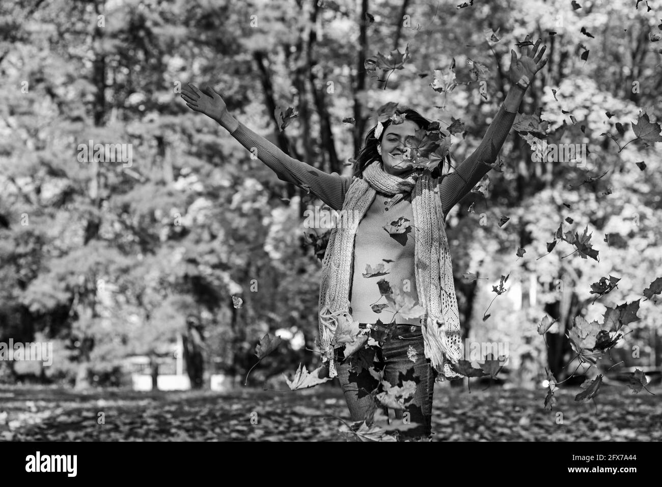 Golden autumn trees and leaves Black and White Stock Photos & Images ...