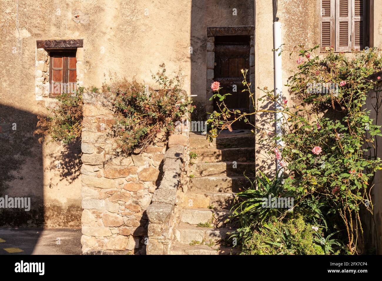 Entrance staircase of a traditional Corsican house, with a rose plant, Piana. Corsica, France Stock Photo
