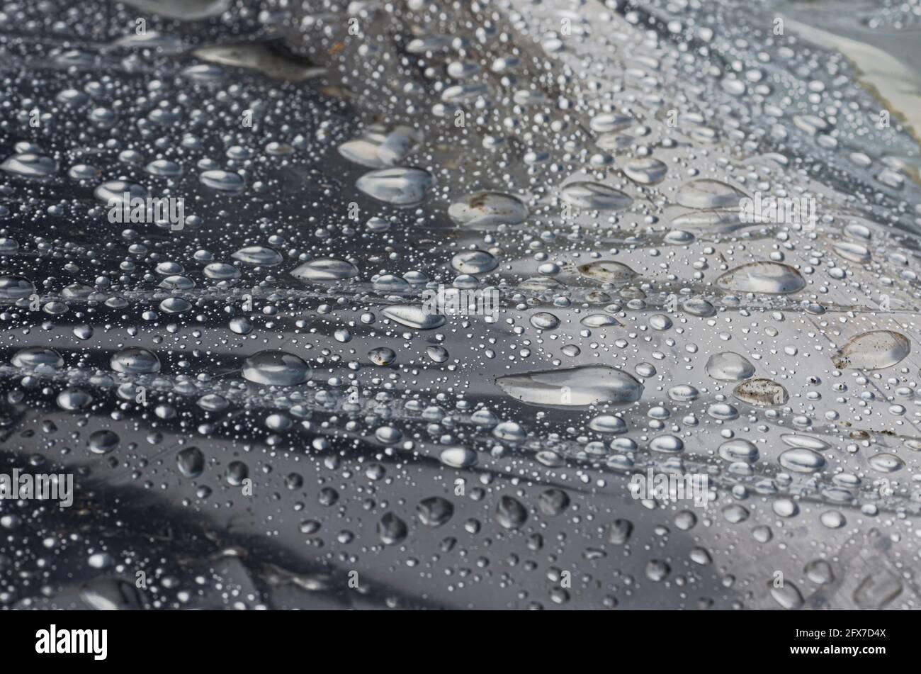 Shiny surface of polyethylene after rain close-up Stock Photo