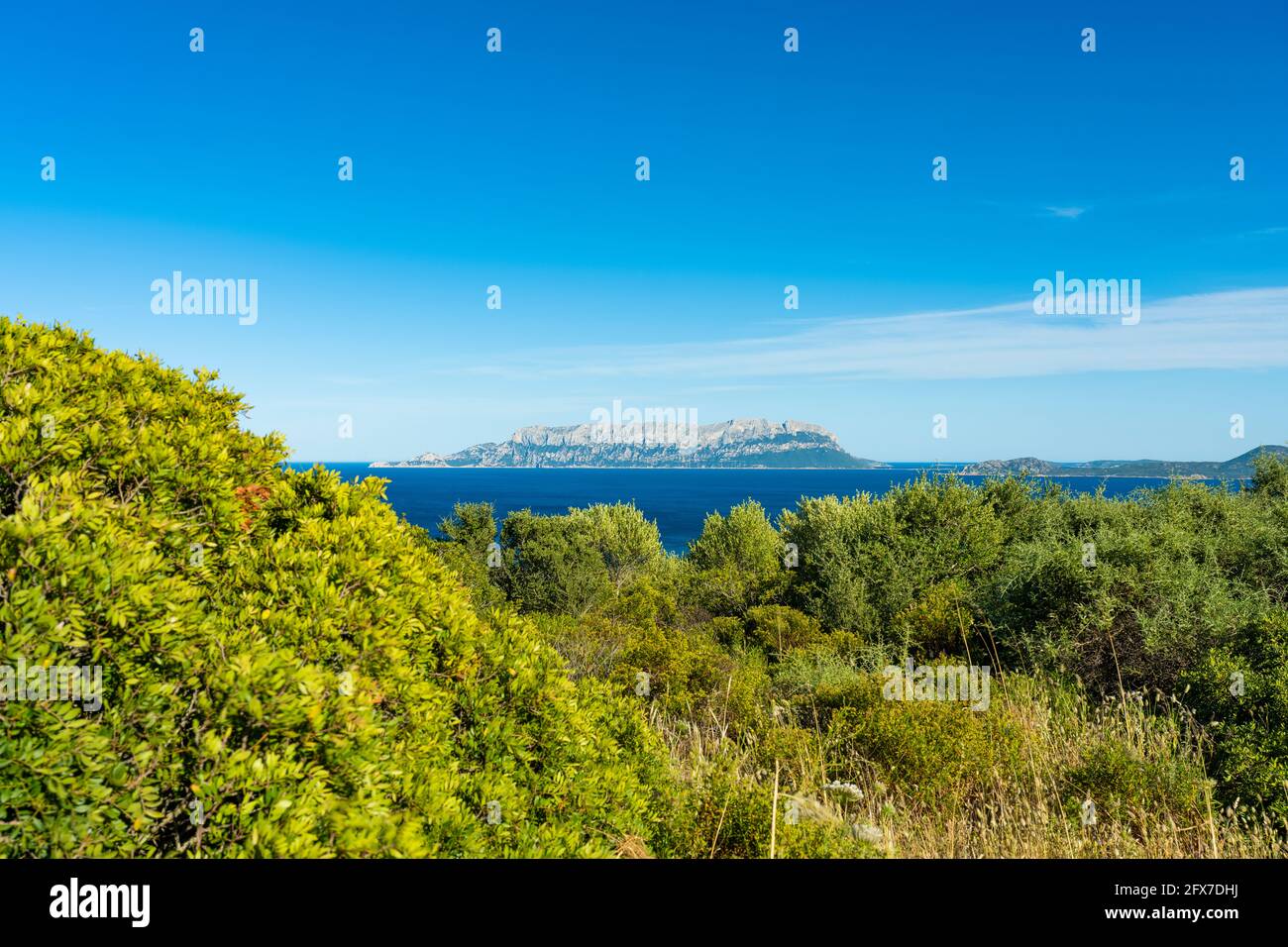 Stunning view of Tavolara Island in the distance and green vegetation in the foreground. Stock Photo
